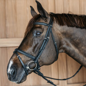 Dy’on New English Plaited Flash Noseband Bridle - Black