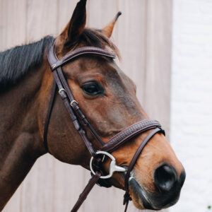 Dy'on New English Plaited Flash Noseband Bridle with Pull Back Brown