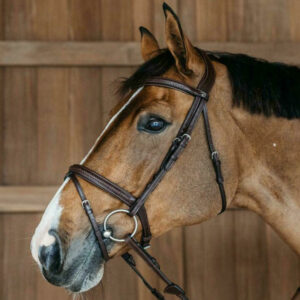 New-English-Plaited-Noseband-Bridle-1