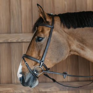 Dy'on Working Collection Training Bridle Brown