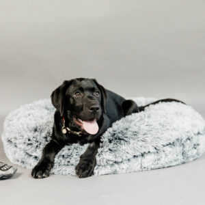 Kentucky Dogwear Dog Bed Donut - Grey Lab