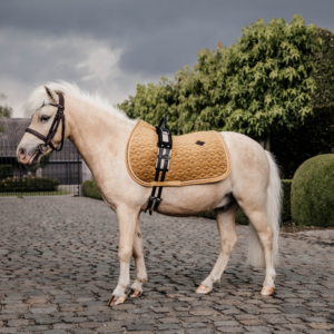 Kentucky Velvet Pony Saddle Pad - Mustard