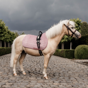 Kentucky Velvet Pony Saddle Pad - Old Rose