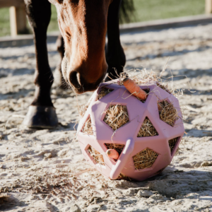 Relax Horse Play Hay Ball - Old Rose