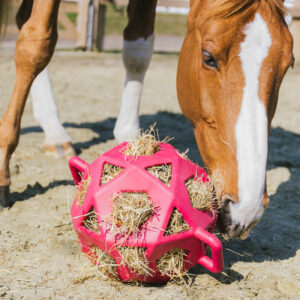 Kentucky Horsewear Relax Horse Play Hay Ball - Pink 2