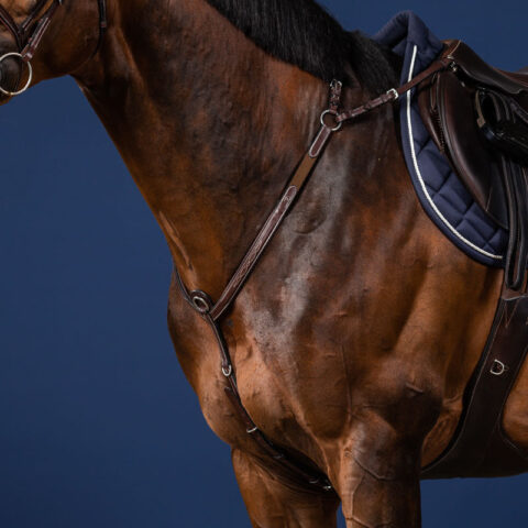 US Collection Fancy Breastplate With Bridge - Brown 4