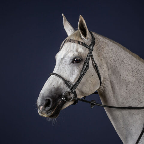 This beautiful Dy’on New English Collection Leather Covered Rope Noseband: Is made of stunning Grade 1 Catalan leather Features a waxed rope cavesson noseband which is covered with soft leather Has stitching that matches the leather Has stainless steel buckles Is available in Black and Brown Is available in Cob and Full size. New-English-Leather-Covered-Rope-Noseband-Black-1