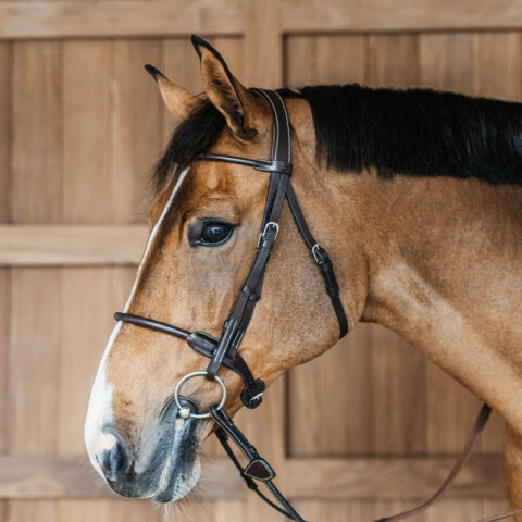 Round Leather Bridle Working by Dy'on
