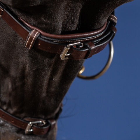 Dy'on US Collection X-Fit Bridle