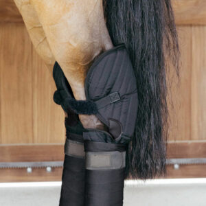 Transport Stable Bandage Pad with Hock Protection