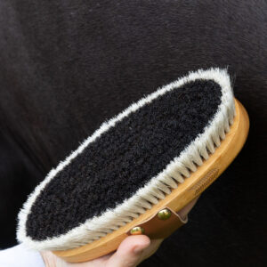 Grooming Deluxe Overall Brush Body Shine