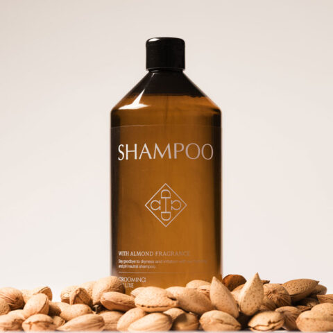 Almond Gloss Shampoo