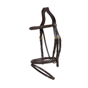 Dy'on collection Plaited Flash Noseband Bridle