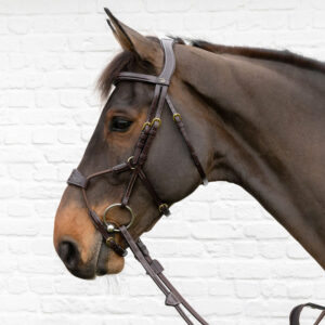 Elastic Hybrid Noseband Bridle