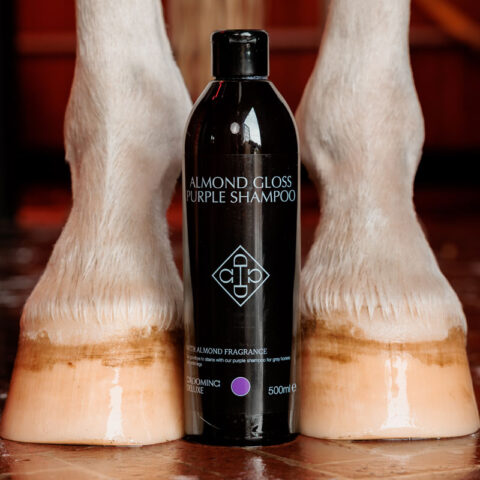 Grooming Deluxe Almond Gloss Purple Shampoo