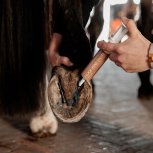 Equi Hoof Zinc Paste