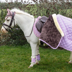 Show Rug Sammy
