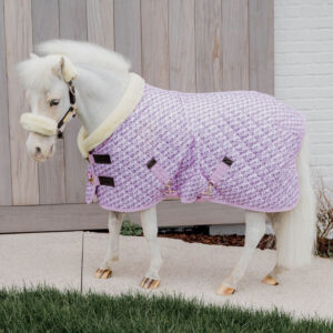 Show Rug Sammy