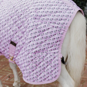 Show Rug Sammy