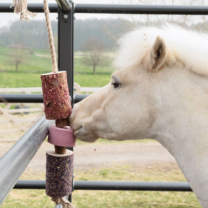 Wooden Relax Horse Toy Sammy
