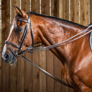 Working Hunter Draw Reins Half Rubber Brown