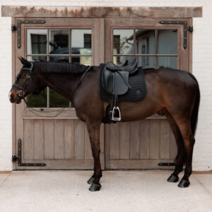 Dressage Saddle Pad Sparkling Black On Horse