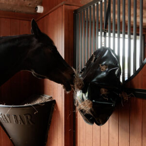 Kentucky-Horsewear-Play-&-Haybag-Slowfeeder-Round-82227-01
