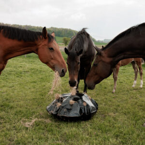 Kentucky-Horsewear-Play-&-Haybag-Slowfeeder-Round-82227-01