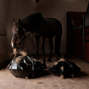 Play & Haybag Slowfeeder