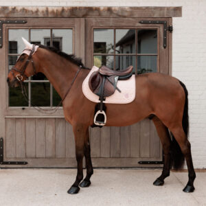 Saddle Pad Sparkling Old Rose Jumping