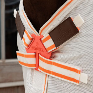 Waterproof Combo Fly Rug Comfort