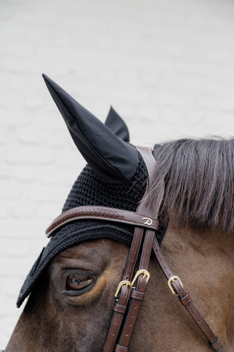 Dy'on Plaited Flash Noseband Bridle with Pull Back - Image 2