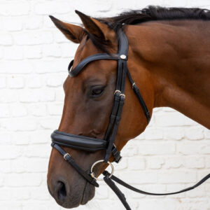 Dy'on Soft Leather Bridle Medium Noseband
