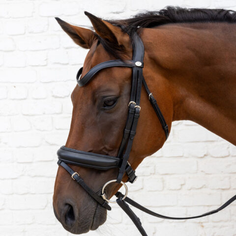 Dy'on Soft Leather Bridle Medium Noseband