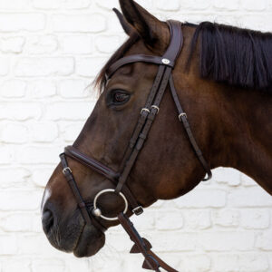 Dy'on Soft Leather Flash Noseband Bridle