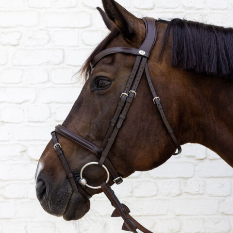 Dy'on Soft Leather Flash Noseband Bridle