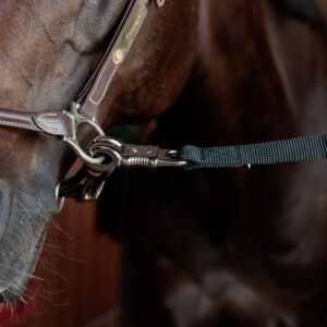 Horse Box Lead & Cross Ties Safety