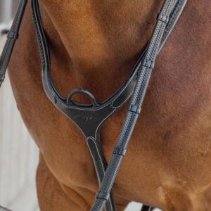 Plaited Bridge Breastplate