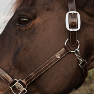 Dy'on US Halter WO09E