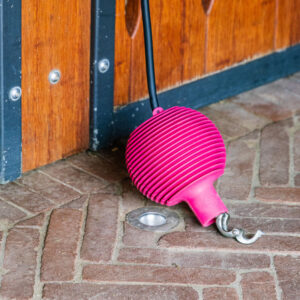 Lead and Wall Protection Rubber Ball Pro