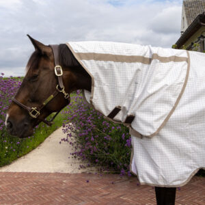 Kentucky Sweet Itch Fly & Summer Sheet Comfort