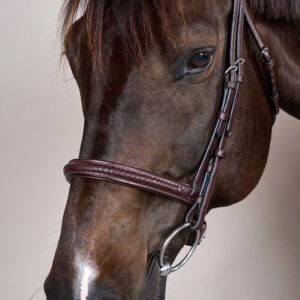 New English Plaited Noseband Bridle Without Flash