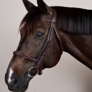 New English Plaited Noseband Bridle Without Flash