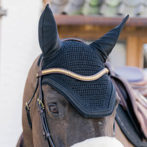 Dy'on Collection V-Shaped Clincher Browband Brass