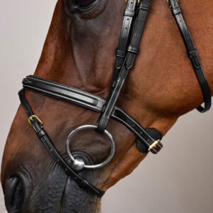 Dy'on Flash Noseband Bridle DY-10002-