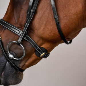 Dy'on Flash Noseband Bridle DY-10002-