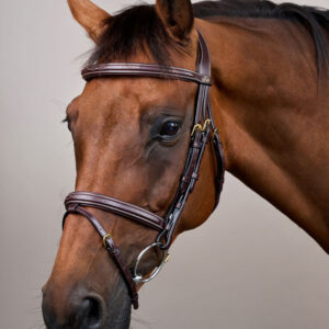 Dy'on Flash Noseband Bridle DY-10002-