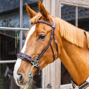 Dy'on New English Hackamore