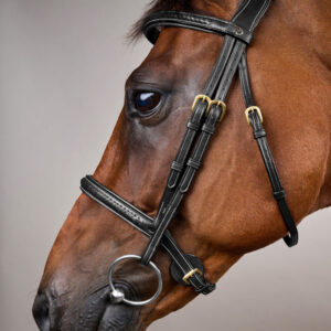 Dy'on Plaited Noseband Bridle Without Flash DY-10001-