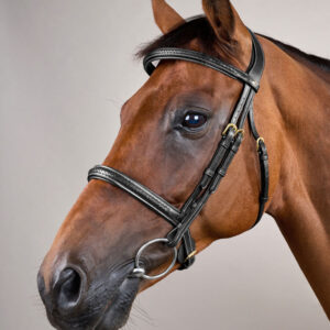 Dy'on Plaited Noseband Bridle Without Flash DY-10001-